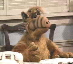 alf_1.jpg