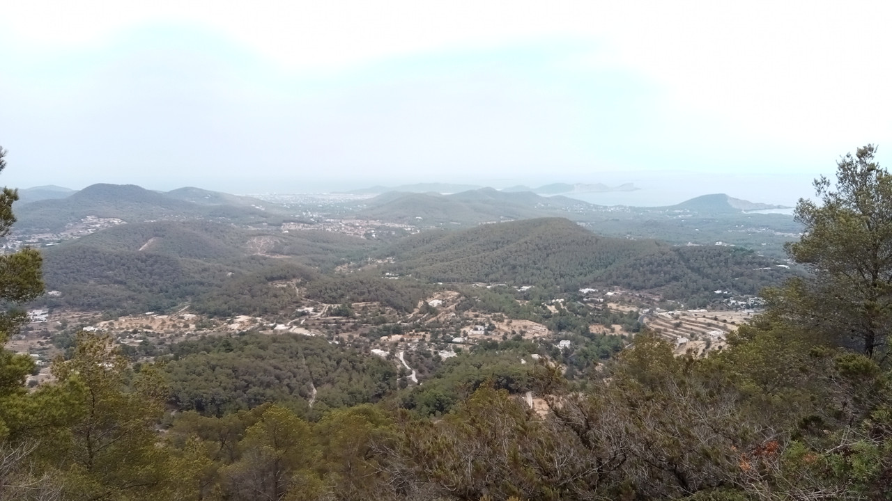 IMG20250822162954.jpg