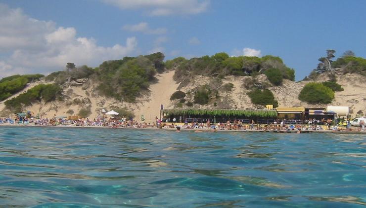 ibz50.jpg