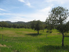 IMG_4342.jpg