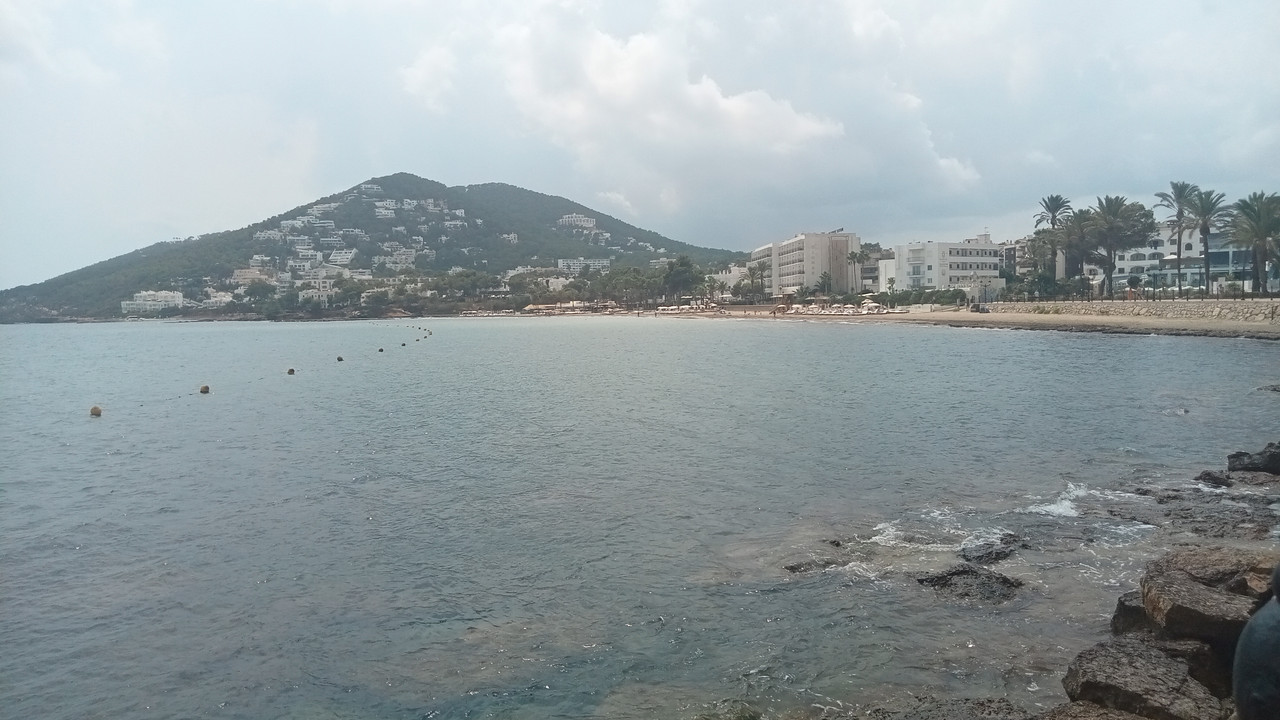 IMG20250820143849.jpg