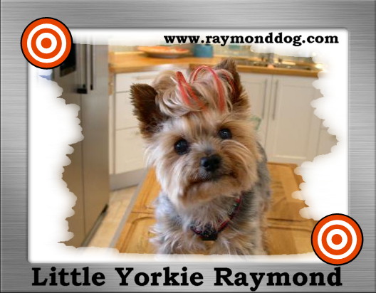 Raymond%20hair-extensions%20in%20frame.JPG