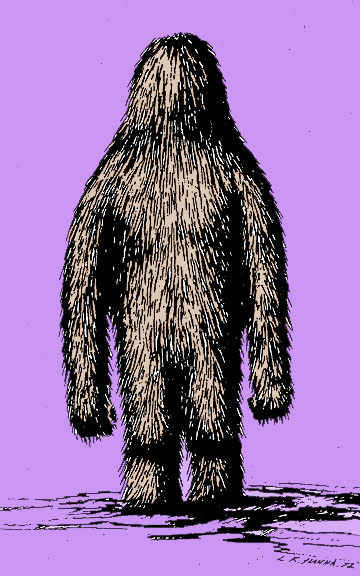 momo3.jpg