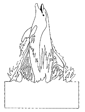 custom-dolphin.gif