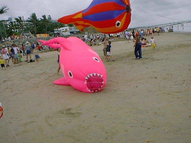 Yepp_shark_puff.jpg