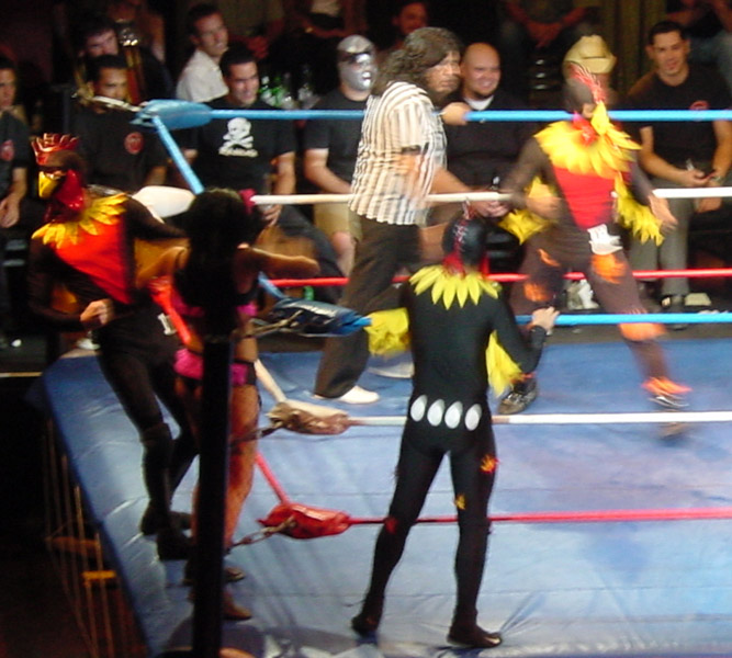 lucha-vavoom-3-chickens.jpg