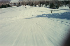 5788273_649f9ef321_m.jpg