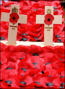 _41005590_field_afp_220.jpg