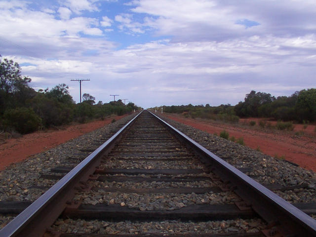 pic5.jpg