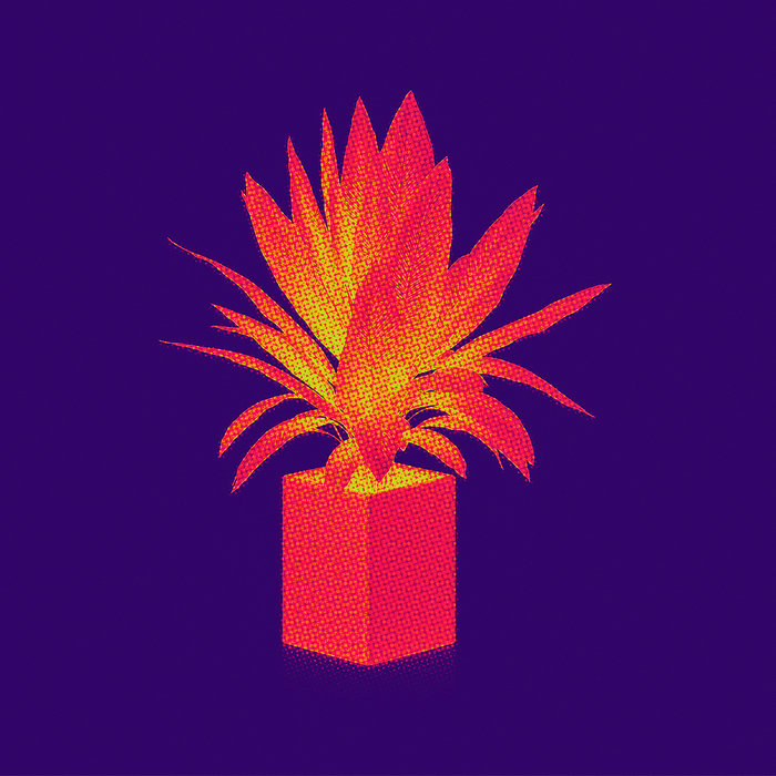 newmembers.bandcamp.com
