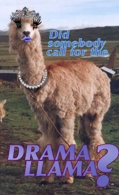 dramallamab4.jpg