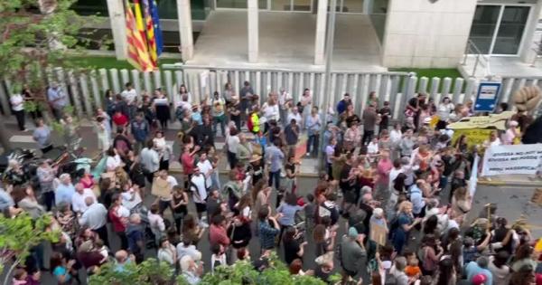 www.periodicodeibiza.es