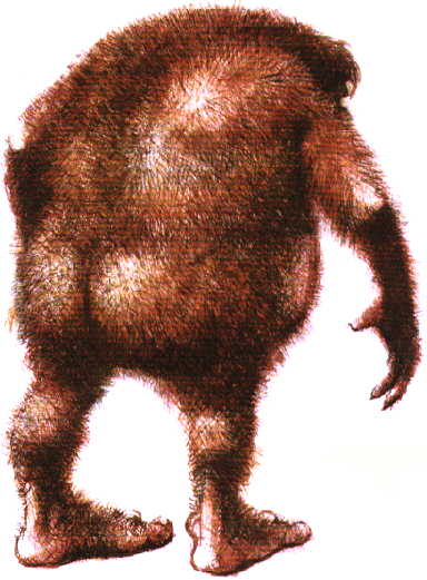 Yeti.jpg