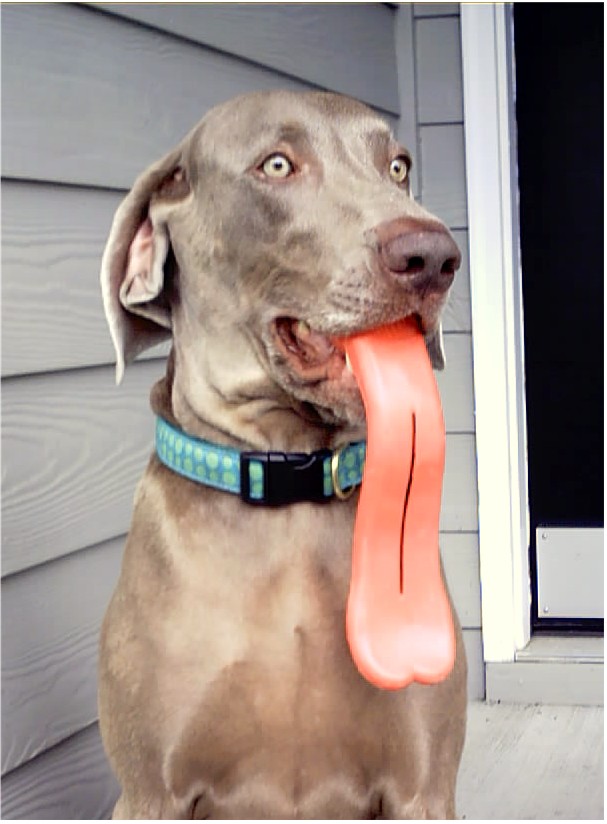 dogtongue.jpg