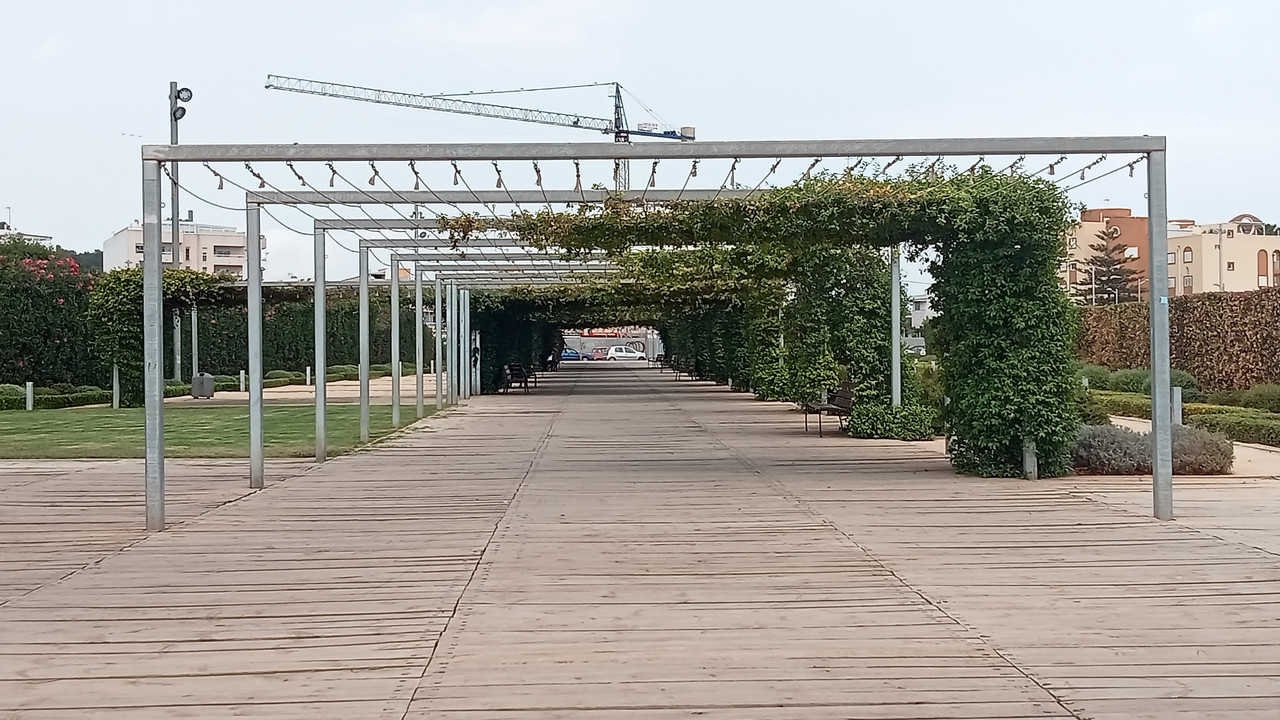 IMG20250820150855.jpg