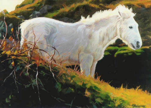 pony.jpg