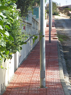 100_3260.JPG