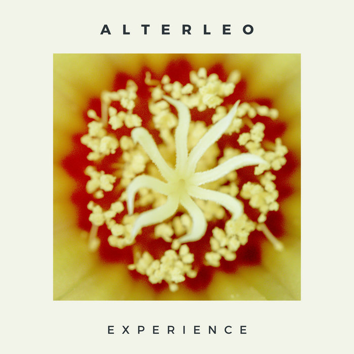 higherloverec.bandcamp.com