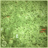 spacedimensioncontroller.bandcamp.com