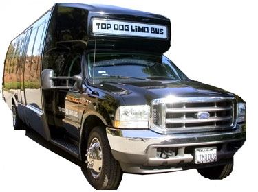 whitebglimobus.jpg