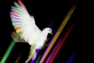 warehouse-project-nye.jpg