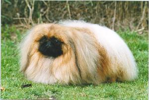 k95d2.jpg