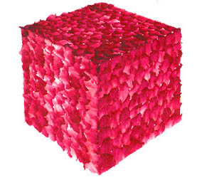 pink%20box.jpg