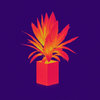 newmembers.bandcamp.com