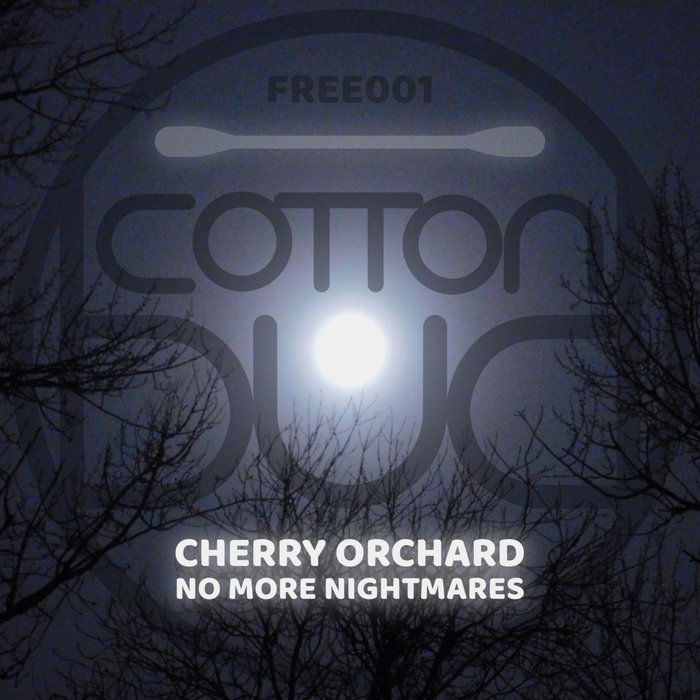 cottonbud.bandcamp.com