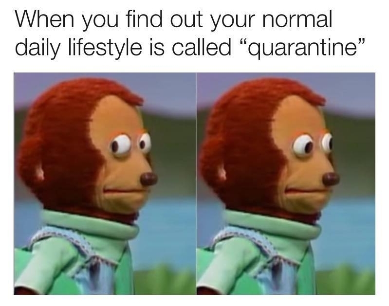 when-you-find-out-your-nomal-daily-lifestyle-is-called-quarantine-meme.jpg